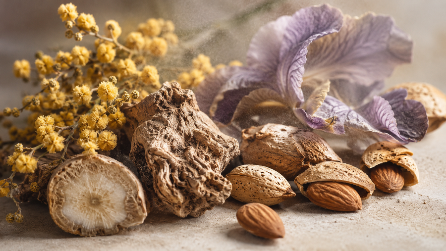 Powdery Iris and Almond Perfume: Discover Seville Secret
